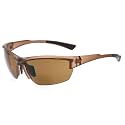 Eyekepper Bifocal Sunglasses for Women Men 2.0, Matte Brown