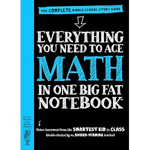 eynt ace math in one big fat notebk