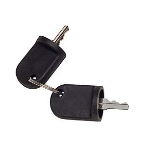 ezgo rxv keys set of 2-611282