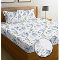 Ezyption Cotton Super Soft 240 TC Elastic