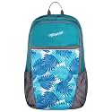 F Gear Cole Casual College Laptop School Bag 27L Aqua Backpack