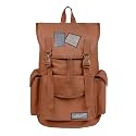 F Gear Webster Canvas 21L Laptop Backpack