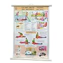 FA09 | TeachingNest | Electric Shock Treatment Chart (50x75cm) | First Aid Chart | With Rollers | English - Hindi Combined