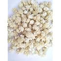 Artificial Dry Assorted Flower Mini Rose, 3.5cm (White, 150 Piece)