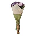 Fabindia Purple Gulmohar Dried Flowers