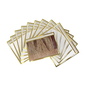 saree cover set of 10 - transparent single saree bags with zip dustproof non-woven wardrobe organizer for silk designer wedding sarees lehenga blouse suit 36x42 cm golden