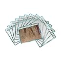 Saree Cover Set of 10 - Transparent Single Saree Bags with Zip, Dustproof Non-Woven Wardrobe Organizer for Silk, Designer, Wedding Sarees, Lehenga, Blouse, Suit (36x42 cm, Sky Blue)
