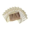 Saree Cover Set of 10 - Transparent Single Saree Bags with Zip, Dustproof Non-Woven Wardrobe Organizer for Silk, Designer, Wedding Sarees, Lehenga, Blouse, Suit (36x42 cm, Golden)