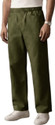 FABRIZER Regular Fit Men Green Trousers