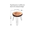 Sheesham Wood Small End Table/Side Table/Plant Stand/Round Stool with Hairpin Legs for Home Decor (Wood Natural)