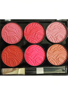 facejewel six color blusher palette professional cheek makeup palette