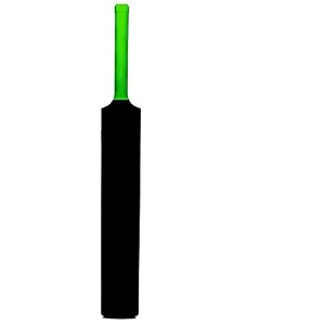 cricket bat for adults