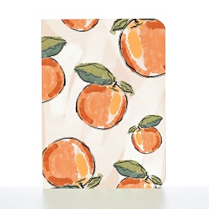 factor notes a6 notebook ruled  90 gsm  160 pages frutizone