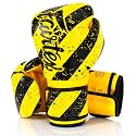 Fairtex Muay Thai Boxing Gloves for Men, Women, Kids | MMA Gloves, Kickboxing, Gym, Workout | Premium Quality, Light Weight &amp; Shock Absorbent Boxing Gloves - BGV14, BGV11, BGV18, BGV20, BGV25