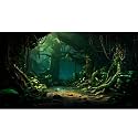 Aquarium Background Dark Night Jungle Forest Terrarium Backdrop Rainforest Stream Huge Trees Fish Tank Background Wallpaper Poster Forest Reptile Habitat Backdrop Vinyl 48x20in