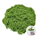 Fake Green Moss for Crafts 7 Oz Decorative Artificial Moss for Crafts