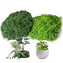 Fake Moss for Plants Indoor, 3.5OZ Dual-Color Artificial Moss for Crafts, Realistic Faux Moss for Terrariums, Fairy Gardens, Potted Plants, DIY Home Decor, Glass Jars, Light & Dark Green（100g）