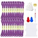 FALIDI Embroidery Floss Kit - 24 Skeins Premium Cross Stitch Thread for Knitting, Embroidery, Cross Stitch &amp; Craft Projects (Purple)