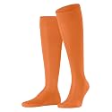 FALKE Men's Tiago Knee High Socks, 1 Pair