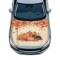 Fall Black Cat Pumpkin Sunflower Print Car Hood Cover Protector 59×39 Inch Stretchable Auto Hood Wraps Waterproof Halloween Automotive Exterior Accessories for Most SUV Sedans Trucks