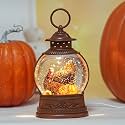 Fall Decor Snow Globe Turkey Pumpkins Lighted Lantern Thanksgiving Decor