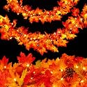 Fall Decorations for Home 9FT Fall Garland with Lights Plug in UL Listed 50 Orange Incandescent Bulbs, Connectable Fall Lights for Indoor Outdoor Halloween Harvest Thanksgivings Holiday Decorations