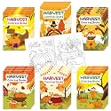 Fall Harvest Coloring Books for Kids 96Pcs Bulk Thanksgiving Mini Coloring Booklet DIY Art Drawing Book with Pumpkin Turkey for Toddlers Autumn Thanksgiving Birthday Party Favors Goodie Bag Filler