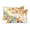 Fall Satin Pillowcases Queen Size Set of 2 Cooling Orange Blue Green Pumpkins Silk Pillow Cases for Hair and Skin Smooth Soft Zippered Thanksgiving Maple Leaf Throw Pillow Covers for Women Men 20"x30"