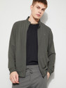 Fame Forever by Lifestyle Full Sleeve Striped