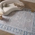 Fame Rugs Gray Modern Oushak Rug 8x10, Vintage Turkish Colorful Oriental Washable Antique Inspired Large Area Rugs, Luxury Living Room Bedroom (389GBB, 7'6 x 10')