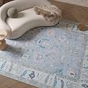 Fame Rugs Lavender Modern Oushak Rug 5x7, Washable Vintage Turkish Colorful Oriental Antique Inspired Area Rugs, Luxury Living Room Bedroom (386PBL, 5' x 7')
