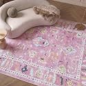Fame Rugs Pink Modern Oushak Rug 3x5, Washable Vintage Turkish Colorful Oriental Antique Inspired Foldable Small Area Rugs, Luxury Living Room Bedroom (995PP, 2'6" x 5')
