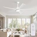 Fanbulous 60 inch Ceiling Fan with Lights
