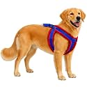 Fancy Soft Fur Padded Dog Body Harness, Adjustable Nylon Fabric Pet Harness | for 02-04 Kilograms Dogs (XS, Blue-RED)
