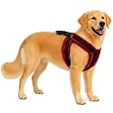 Fancy Soft Fur Padded Dog Body Harness, Adjustable Nylon Fabric Pet Harness | for 24-35 Kilograms Dogs (L, Black-RED)