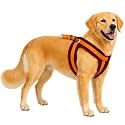 Fancy Soft Fur Padded Dog Body Harness, Adjustable Nylon Fabric Pet Harness | for 24-35 Kilograms Dogs (L, Orange-Brown)