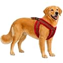 Fancy Soft Fur Padded Dog Body Harness, Adjustable Nylon Fabric Pet Harness | for 02-04 Kilograms Dogs (XS, Brown-RED)