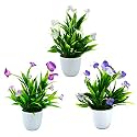 fancymart Artificial Potted Butterfly Flowers Plants, Set of 3 Pack Artificial Flowers Butterfly Plant Small Indoor Potted, Small Faux Plants for Home Decor | Office Decor | Wall Decore