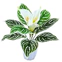 fancymart Artificial Calla Lily Flower with Plastic Pot (White, 1 Piece), Home and Office Décor, Artificial Flora -8452