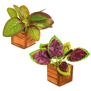 fancymart artificial leaves plant in small wood pot - 12cm height - pack of 2 - home amp office decor elegant potted plant for tabletopshelves enhancement