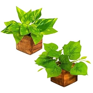 fancymart artificial leaves plant in small wood pot - 12cm height - pack of 2 - home amp office decor elegant potted plant for tabletopshelves enhancement