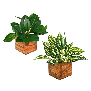 fancymart artificial leaves plant in small wood pot - 12cm height - pack of 2 - home amp office decor elegant potted plant for tabletopshelves enhancement