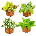 fancymart Artificial Leaves Plant in Small Wood Pot - 12cm Height - Pack of 4 - Home & Office Decor Elegant Potted Plant for Tabletop/Shelves Enhancement