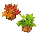 fancymart Artificial Leaves Plant in Small Wood Pot - 12cm Height - Pack of 2 - Home &amp; Office Decor Elegant Potted Plant for Tabletop/Shelves Enhancement