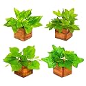 fancymart Artificial Leaves Plant in Small Wood Pot - 12cm Height - Pack of 4 - Home &amp; Office Decor Elegant Potted Plant for Tabletop/Shelves Enhancement