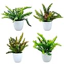 fancymart Artificial Potted Plants Set of 4 Pack Artificial Bonsai Coconut Leaves Plant Small Indoor Potted, Small Faux Plants for Home Decor | Office Decor | Wall Decore