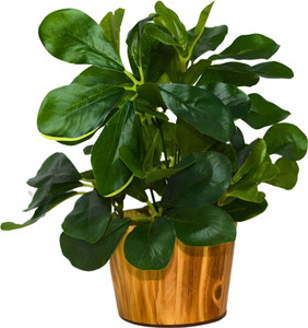 fancymart faux leaves in wooden pot appeal of your interior dcor bonsai artificial plant  with pot