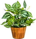 fancymart faux Leaves in Wooden Pot appeal of your interior décor Bonsai Artificial Plant  with Pot