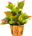 fancymart faux Leaves in Wooden Pot appeal of your interior décor Bonsai Artificial Plant  with Pot