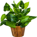 fancymart faux Leaves in Wooden Pot appeal of your interior décor Bonsai Artificial Plant  with Pot (13 cm, Green, Multicolor)